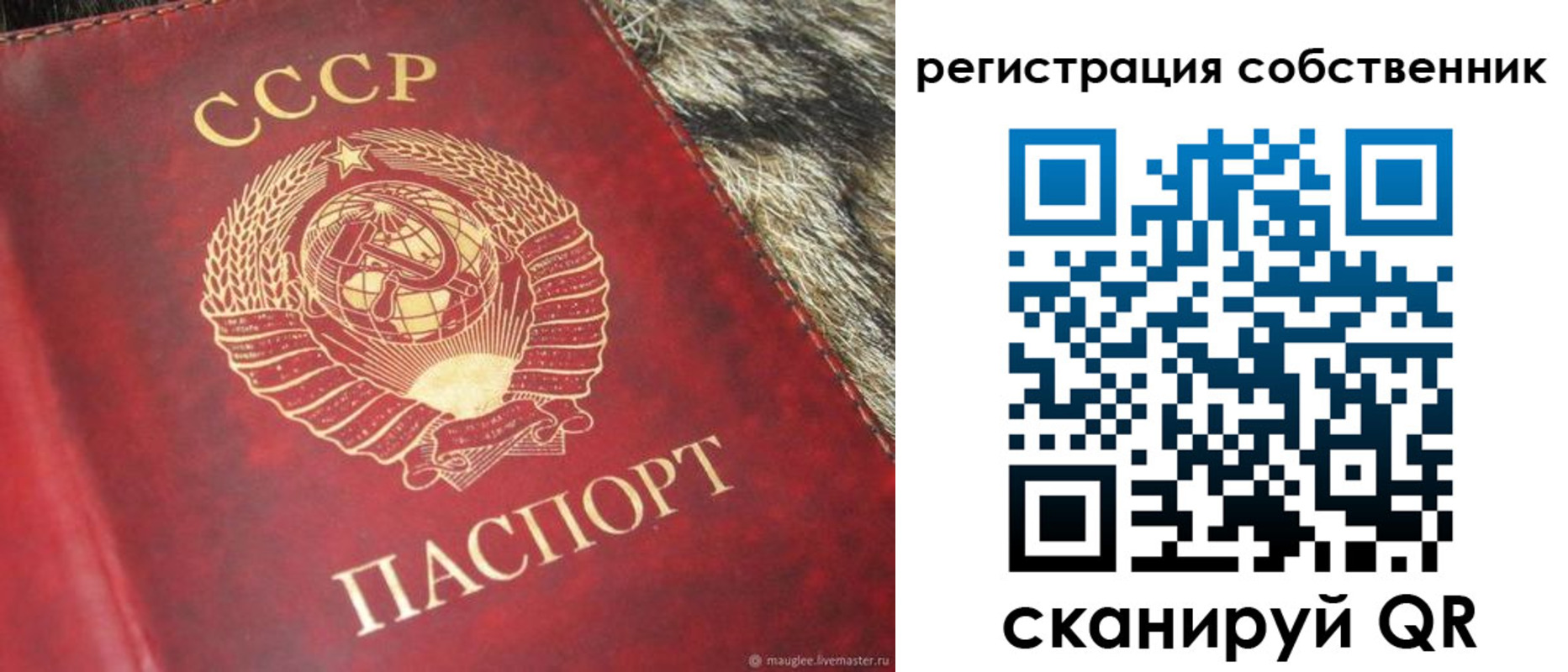 временная регистрация надежно в Кировске