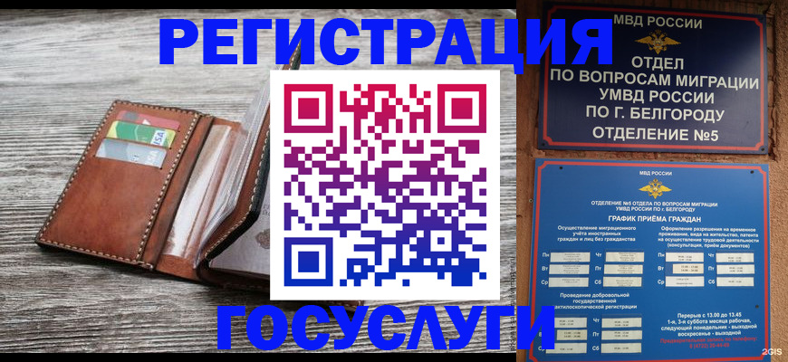 временная регистрация гарантия в Кировске